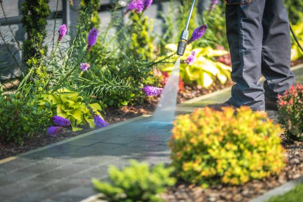 Best Dumpster Area Cleaning  in Cuero, TX
